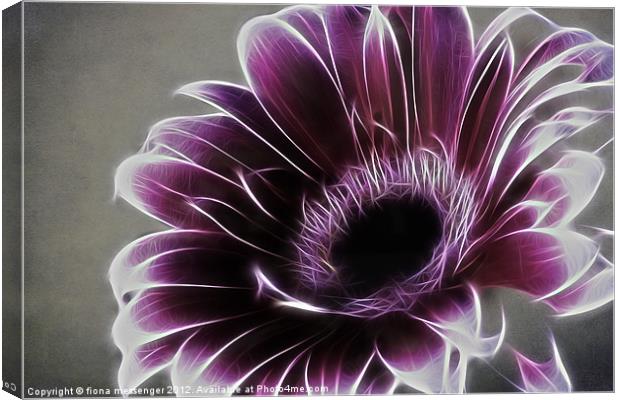 Gerbera Fractalius Canvas Print by Fiona Messenger