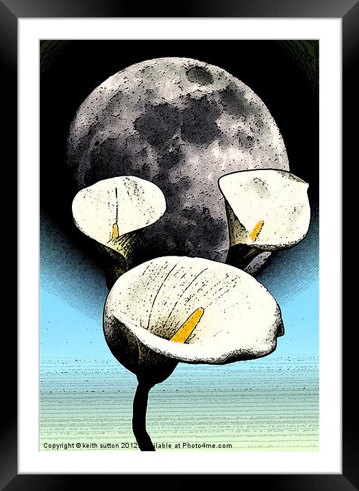 calla lilly moon Framed Mounted Print by keith sutton