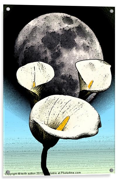 calla lilly moon Acrylic by keith sutton