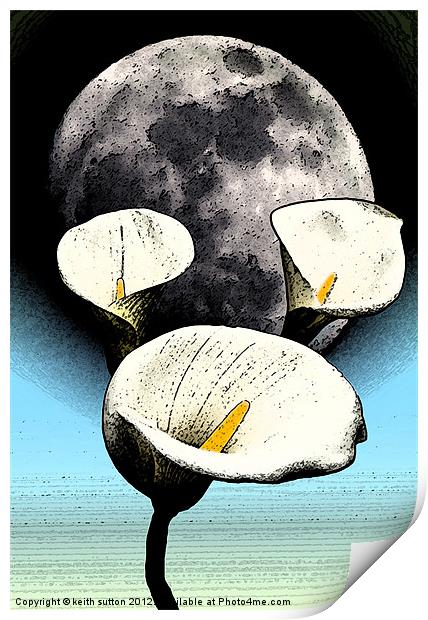 calla lilly moon Print by keith sutton