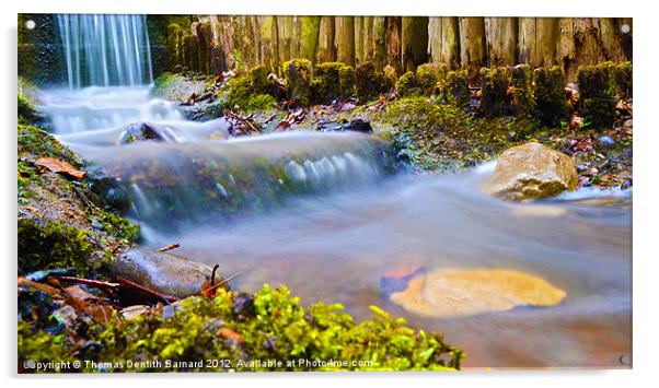 Mysterious Waters Acrylic by Thomas Dentith Barnard