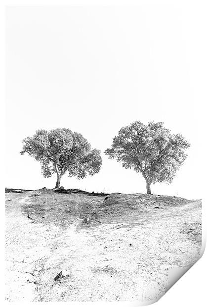 Minimal trees Print by Sean Needham