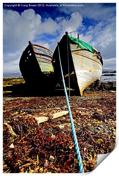 Wrecked Wooden Boats Print by Craig Brown