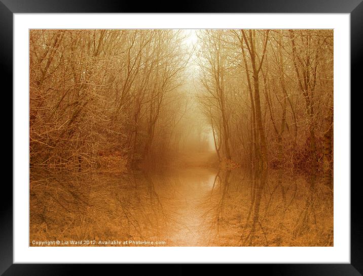 Magical Autumn Pool Framed Mounted Print by Liz Ward
