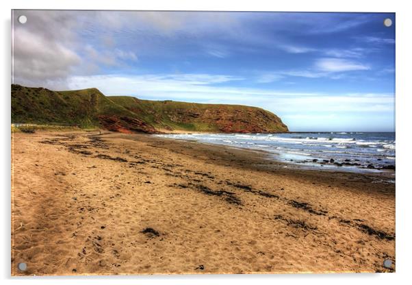 The Beach at Pease Bay Acrylic by Tom Gomez