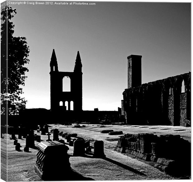St Andrews Cathedral, Scotland Canvas Print by Craig Brown