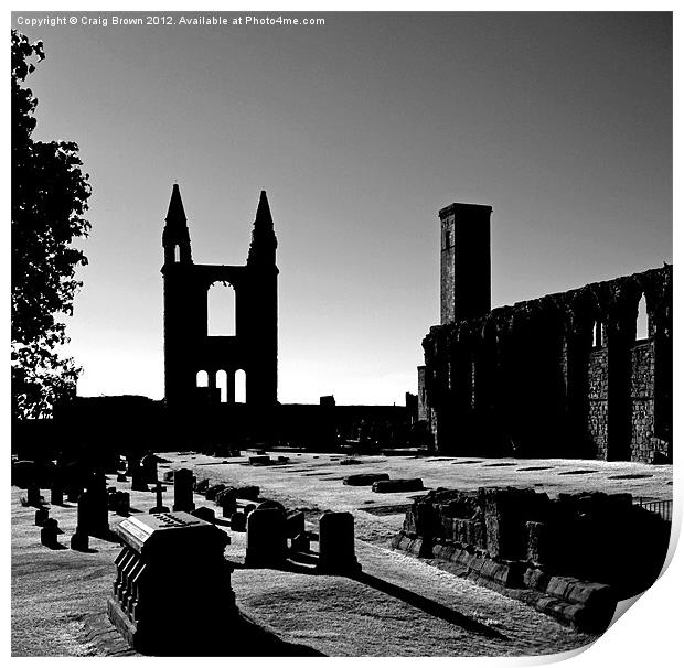 St Andrews Cathedral, Scotland Print by Craig Brown