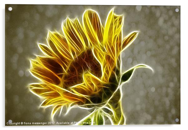 Sunflower Fractalius Acrylic by Fiona Messenger