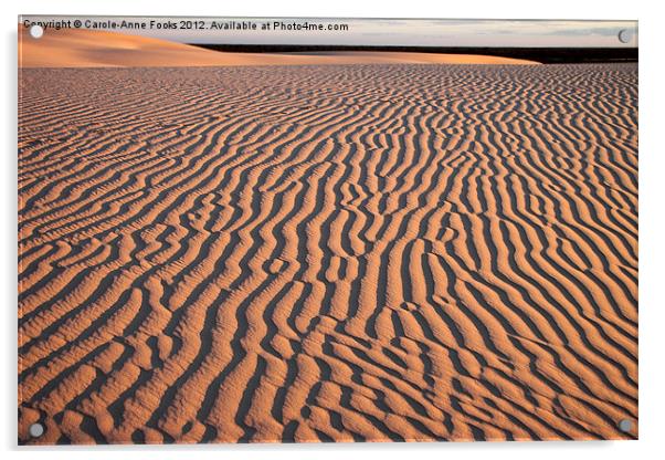 Dunes at Sunrise, Mungo Acrylic by Carole-Anne Fooks