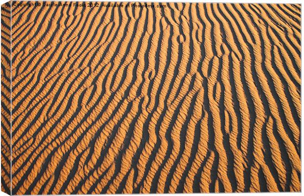 Dune detail at Sunrise Canvas Print by Carole-Anne Fooks
