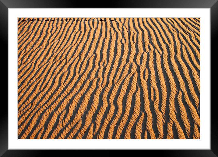 Dune detail at Sunrise Framed Mounted Print by Carole-Anne Fooks