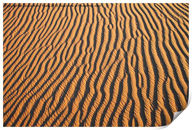 Dune detail at Sunrise Print by Carole-Anne Fooks