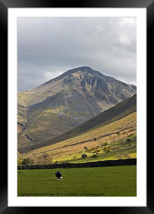 Great Gable Framed Mounted Print by David Pringle