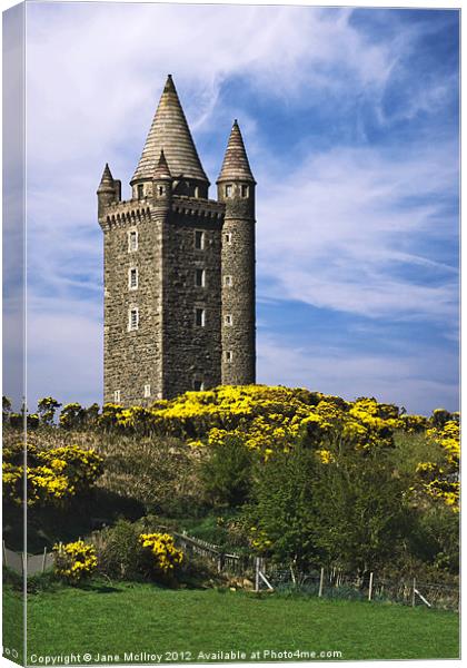 Scrabo Tower, Newtownards, County Down Canvas Print by Jane McIlroy