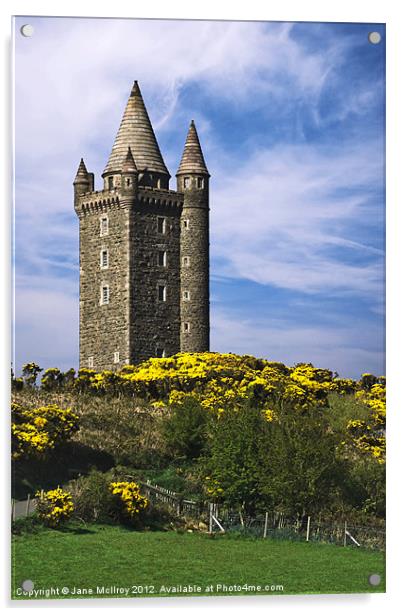 Scrabo Tower, Newtownards, County Down Acrylic by Jane McIlroy