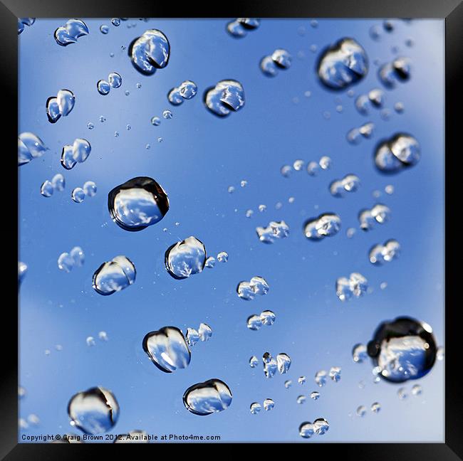 Raindrops Framed Print by Craig Brown