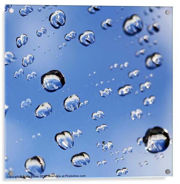 Raindrops Acrylic by Craig Brown