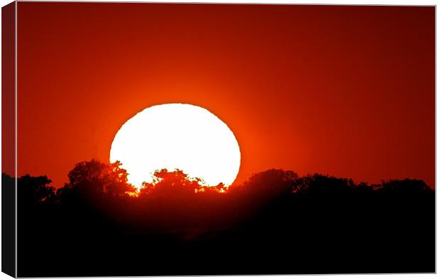 Red Rise Canvas Print by mark humpage