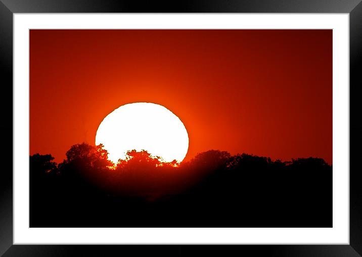 Red Rise Framed Mounted Print by mark humpage