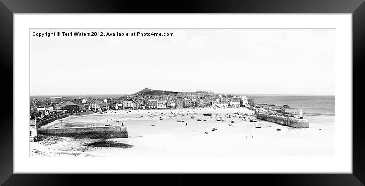 St Ives in black & white Framed Mounted Print by Terri Waters
