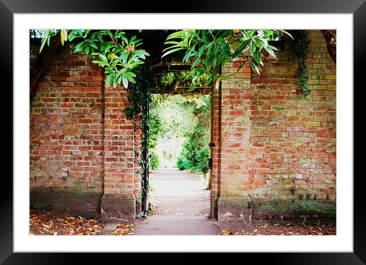 A gate at Lady Dixon Park in Belfast. Framed Mounted Print by Mari Lara