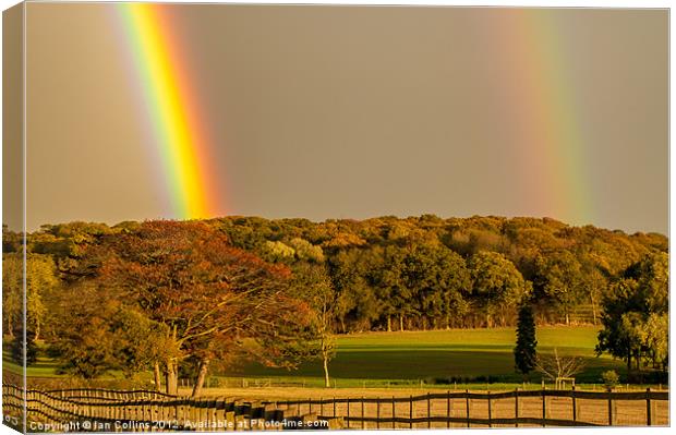 Bright Double Rainbow Canvas Print by Ian Collins