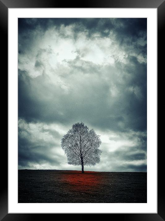 The loneliness  of hopelessness..... Framed Mounted Print by martin kimberley