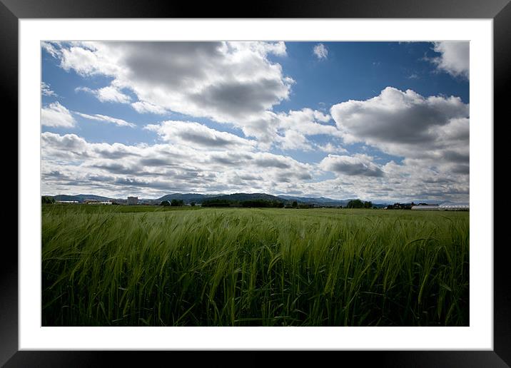 Through the fields after the rain Framed Mounted Print by Ian Middleton