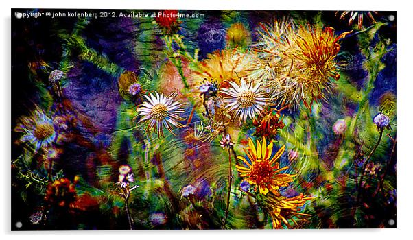 wild flower universe Acrylic by john kolenberg