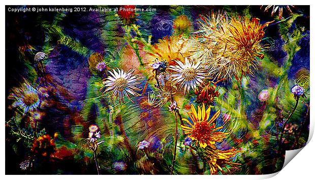 wild flower universe Print by john kolenberg