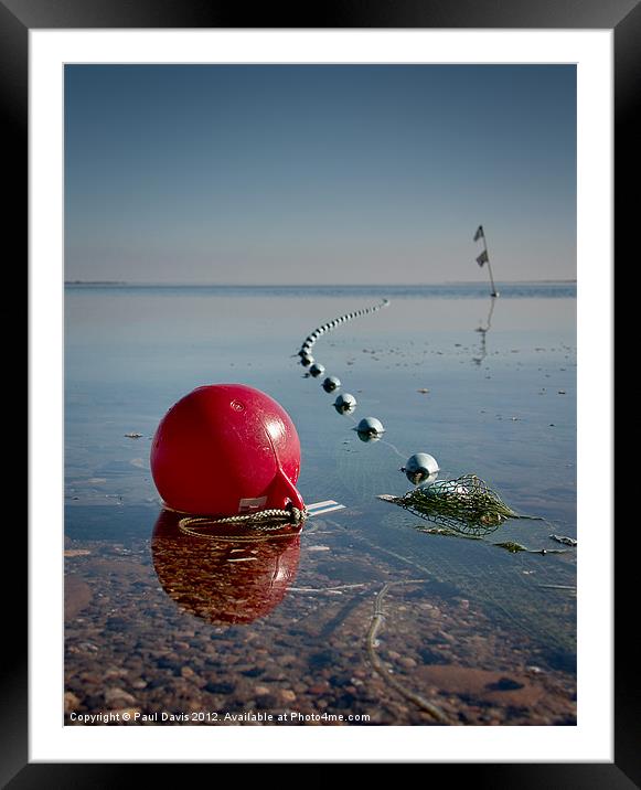 Oh buoy! Framed Mounted Print by Paul Davis