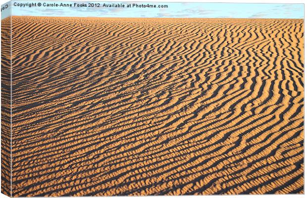 Dune detail just after Sunrise Canvas Print by Carole-Anne Fooks