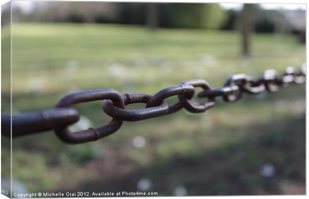 Chain link against grass Canvas Print by Michelle Orai