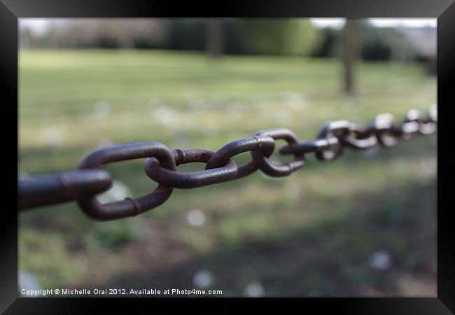 Chain link against grass Framed Print by Michelle Orai