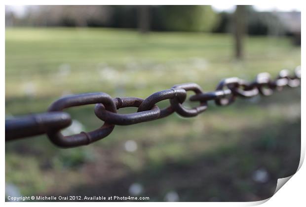 Chain link against grass Print by Michelle Orai