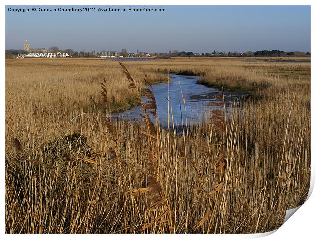 Christchurch Winter Reeds Print by Duncan Chambers
