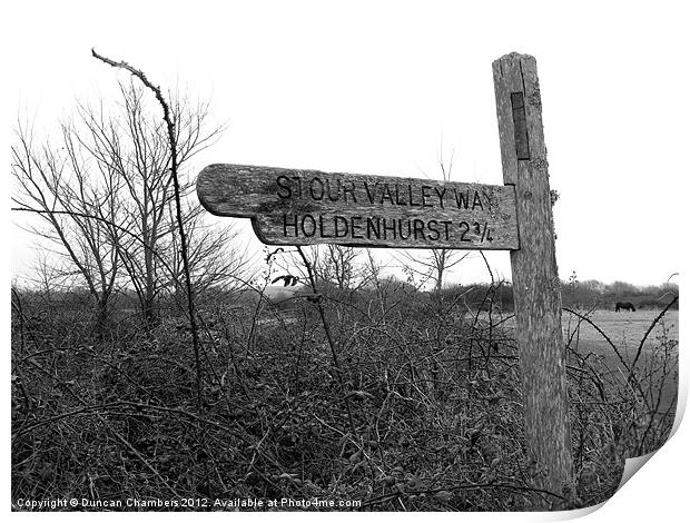 Stour Valley Way Print by Duncan Chambers