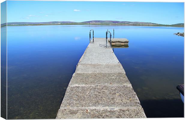 Small pier Canvas Print by Cameron scott