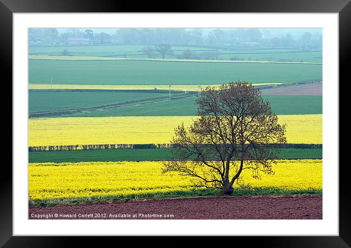Bands of colour Framed Mounted Print by Howard Corlett