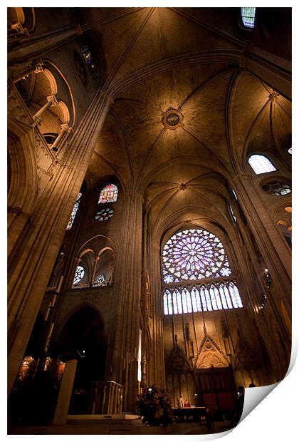 Notre Dame interior Print by Daniel Zrno