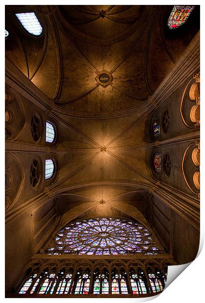 Notre Dame interior Print by Daniel Zrno