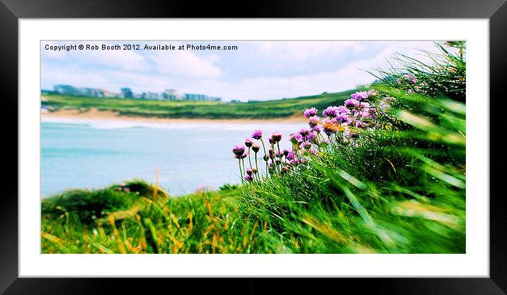 'Sea Thrift View' Framed Mounted Print by Rob Booth