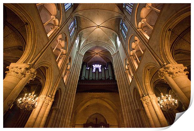 Notre Dame interior Print by Daniel Zrno