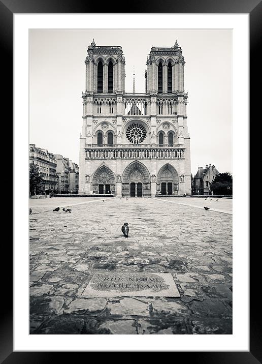 Notre Dame Framed Mounted Print by Daniel Zrno