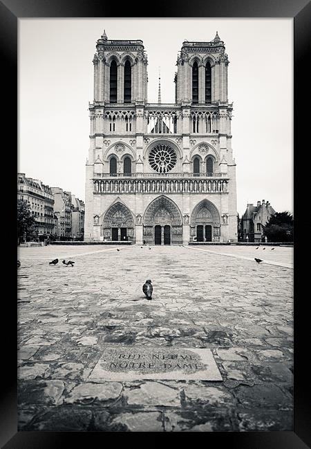Notre Dame Framed Print by Daniel Zrno