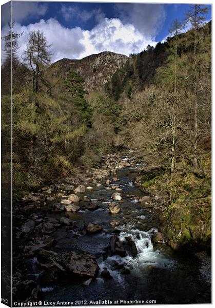 Snowdonia National Park 5 Canvas Print by Lucy Antony