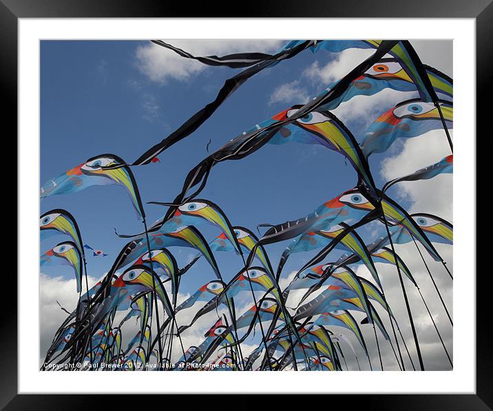A sky full of kites Framed Mounted Print by Paul Brewer