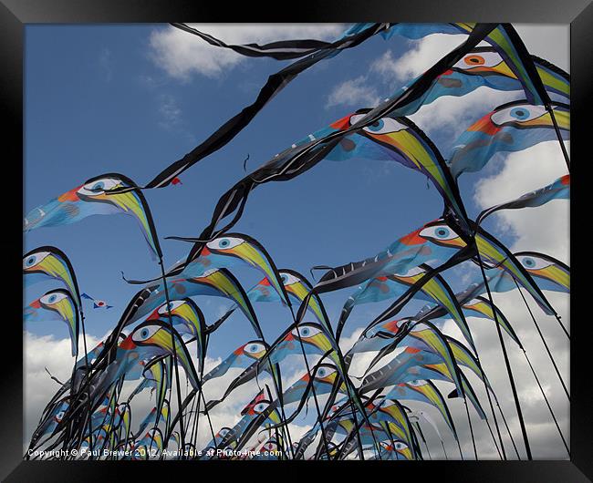 A sky full of kites Framed Print by Paul Brewer