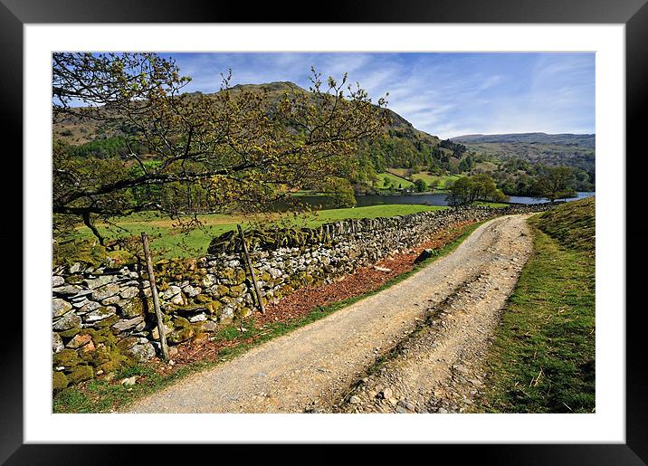 Along The Rydal Way Framed Mounted Print by Jason Connolly