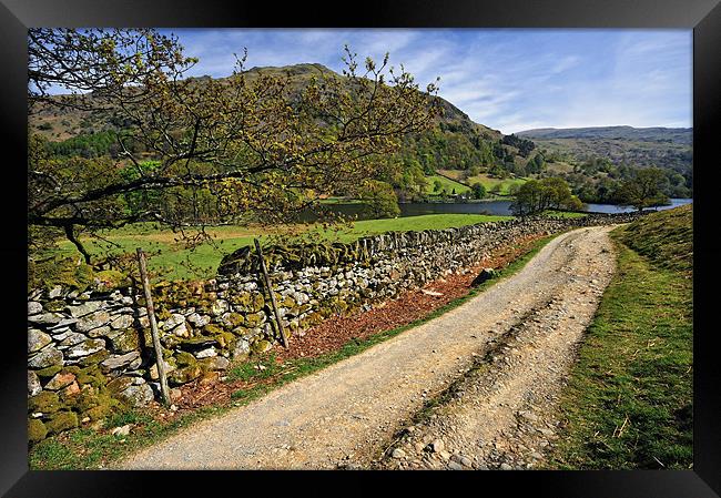 Along The Rydal Way Framed Print by Jason Connolly
